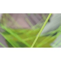 Outwell Dual Protector Blakeley 300 11 Outwell Dual Protector Blakeley 300 -Field Store go 321507 e